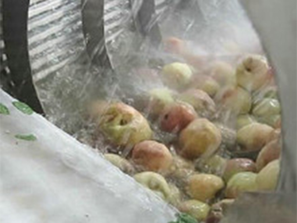 高壓氣泡清洗機(jī)(玉米類、果蔬類）